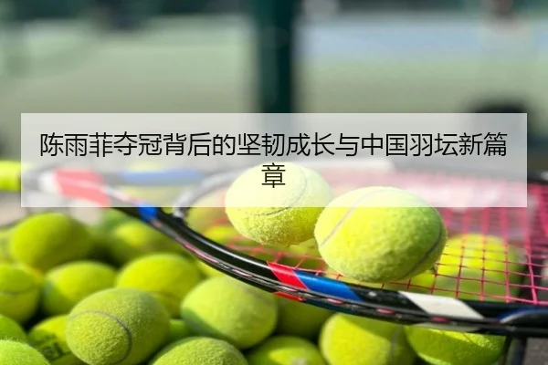 陈雨菲夺冠背后的坚韧成长与中国羽坛新篇章
