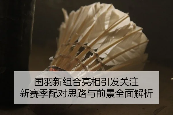 国羽新组合亮相引发关注 新赛季配对思路与前景全面解析