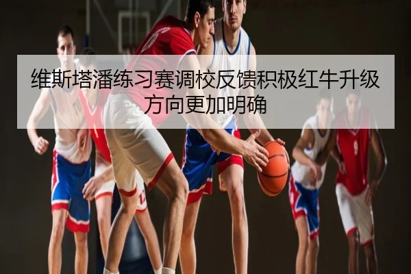 维斯塔潘练习赛调校反馈积极红牛升级方向更加明确
