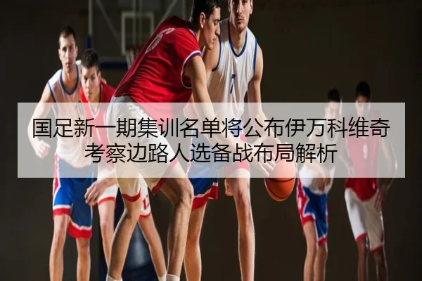 国足新一期集训名单将公布伊万科维奇考察边路人选备战布局解析